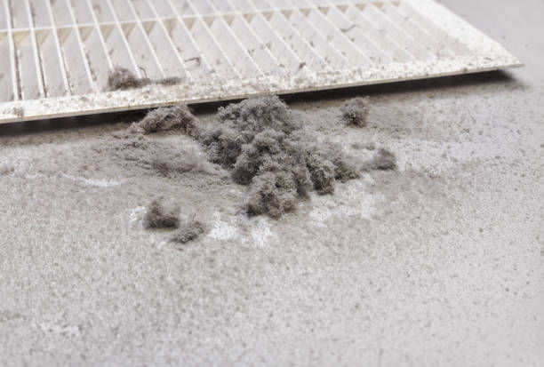 Best Dryer Vent Cleaning Services  in Bogata, TX